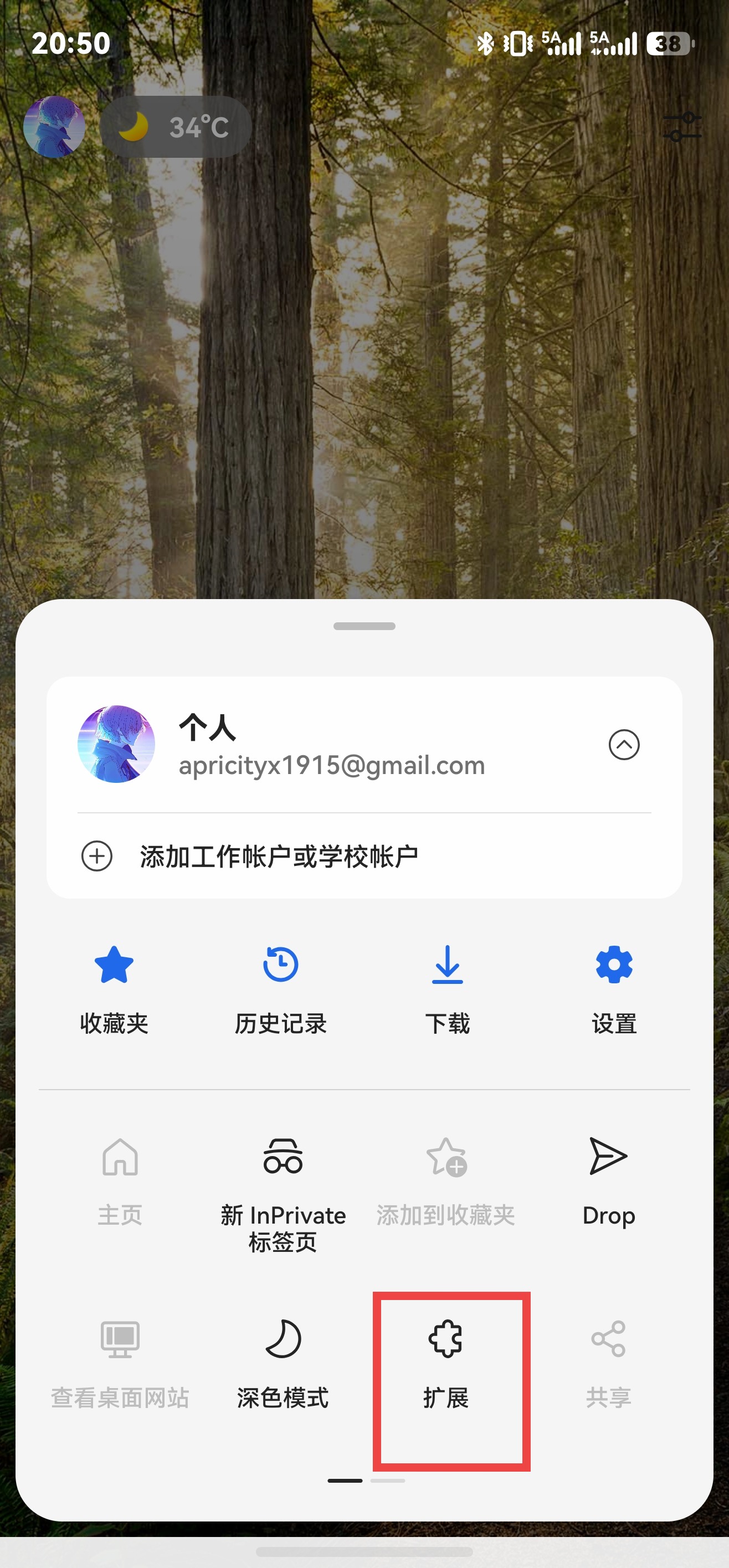 Edge 菜单中的扩展入口,已用红框标出